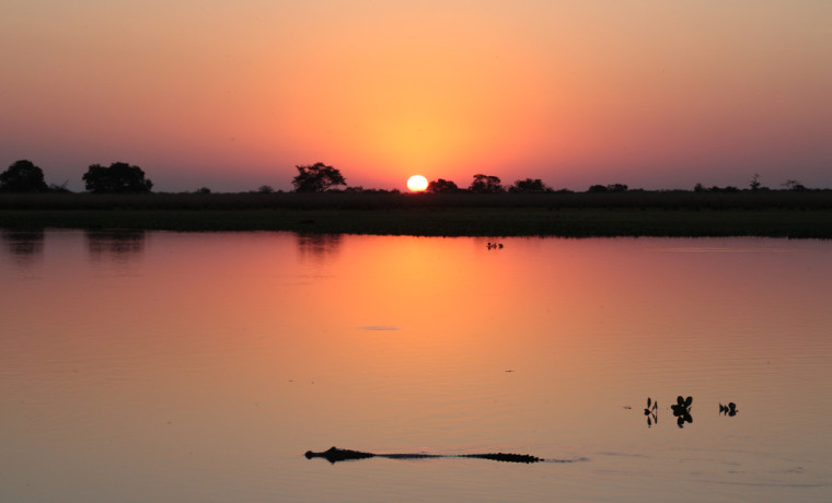 Travessia do Pantanal, uma aventura em sete dias - Lugares por Onde Ando -  Campo Grande News